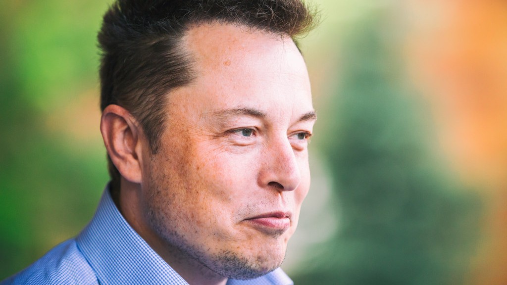 Is Elon Musk Considered A Genius