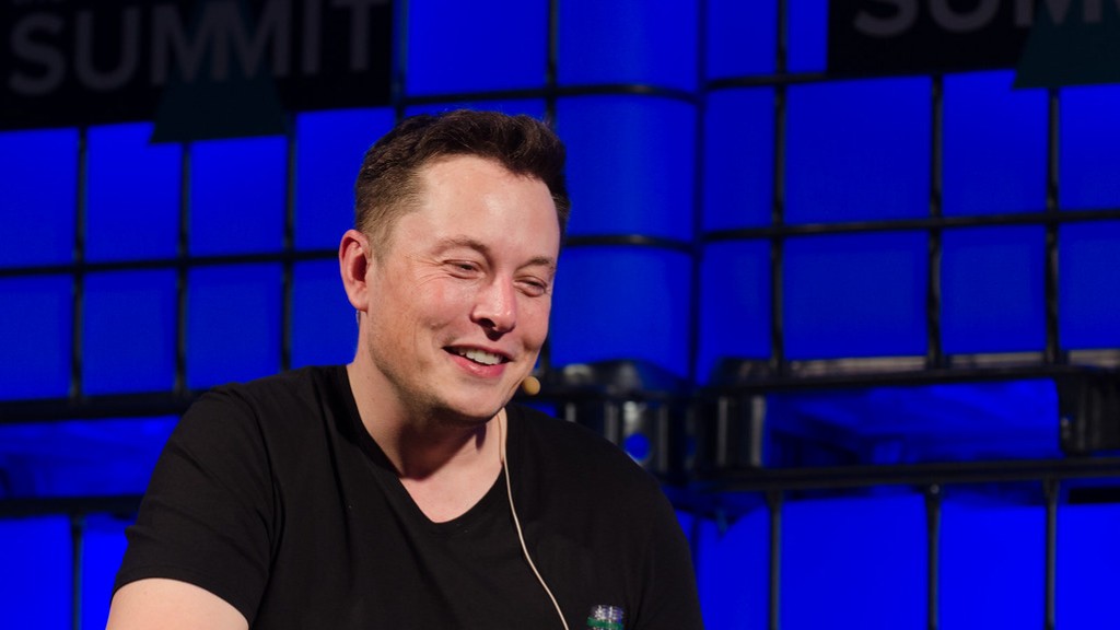 What percent of tesla does elon musk own?